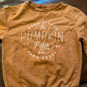 Pumpkin 🎃 Patch Sweatshirt